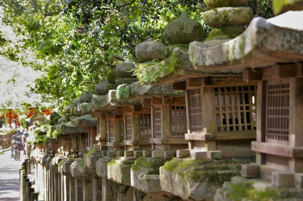 kasuga-ishidourou_k7-503-